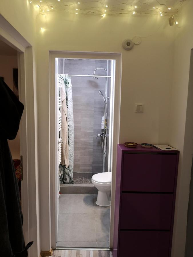 Little Modern Folk Apt Lägenhet Vălenii de Munte Exteriör bild