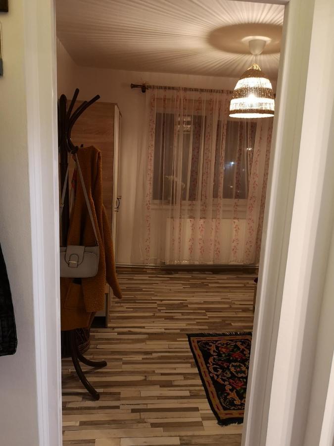 Little Modern Folk Apt Lägenhet Vălenii de Munte Exteriör bild