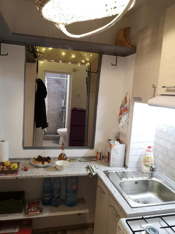 Little Modern Folk Apt Lägenhet Vălenii de Munte Exteriör bild