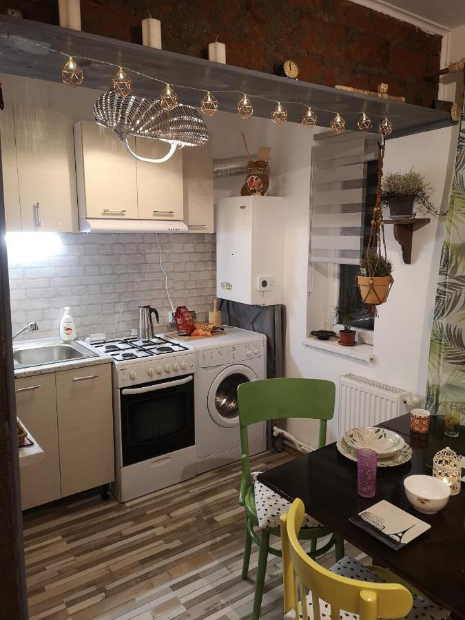 Little Modern Folk Apt Lägenhet Vălenii de Munte Exteriör bild