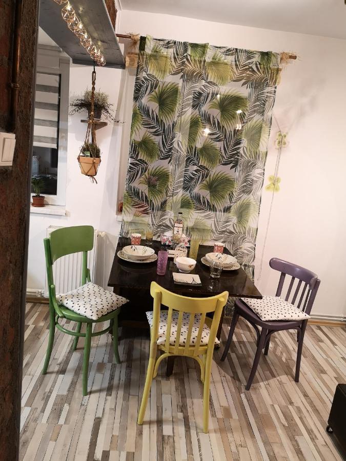 Little Modern Folk Apt Lägenhet Vălenii de Munte Exteriör bild